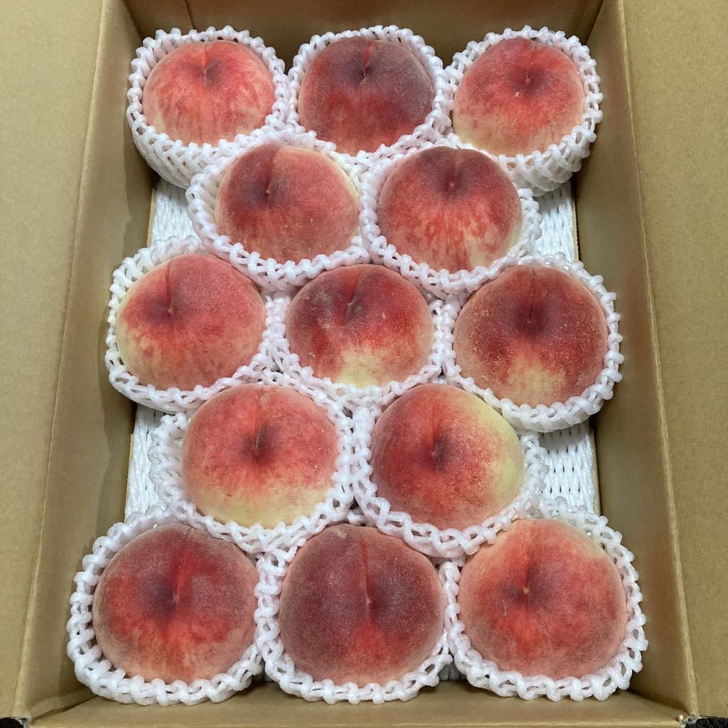 桃　岐阜県産 白鳳_1