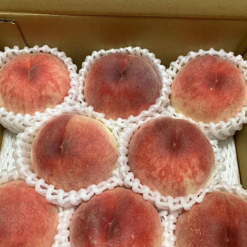 桃　岐阜県産 白鳳_2