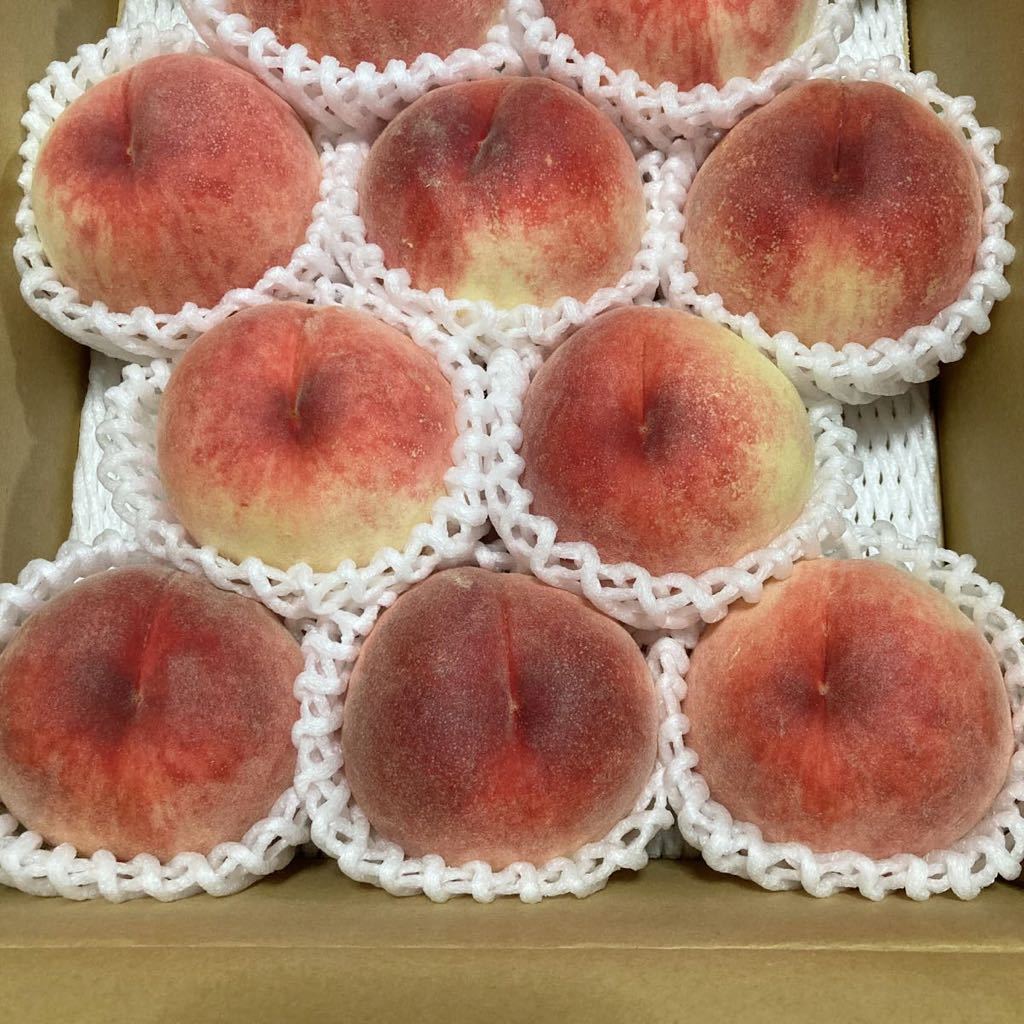 桃　岐阜県産 白鳳_3