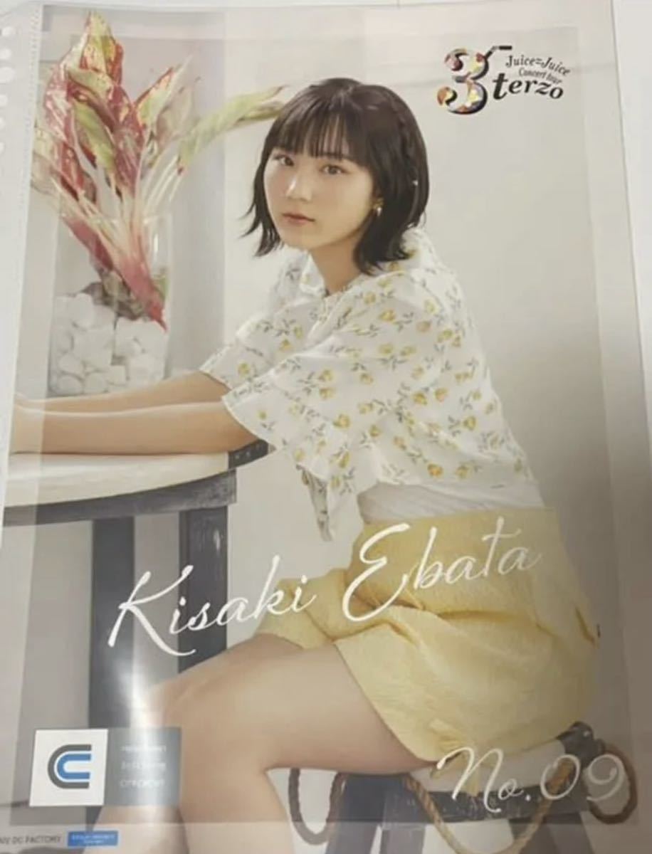 江端妃咲 9 コレクションピンナップポスター ピンポス Juice=Juice
