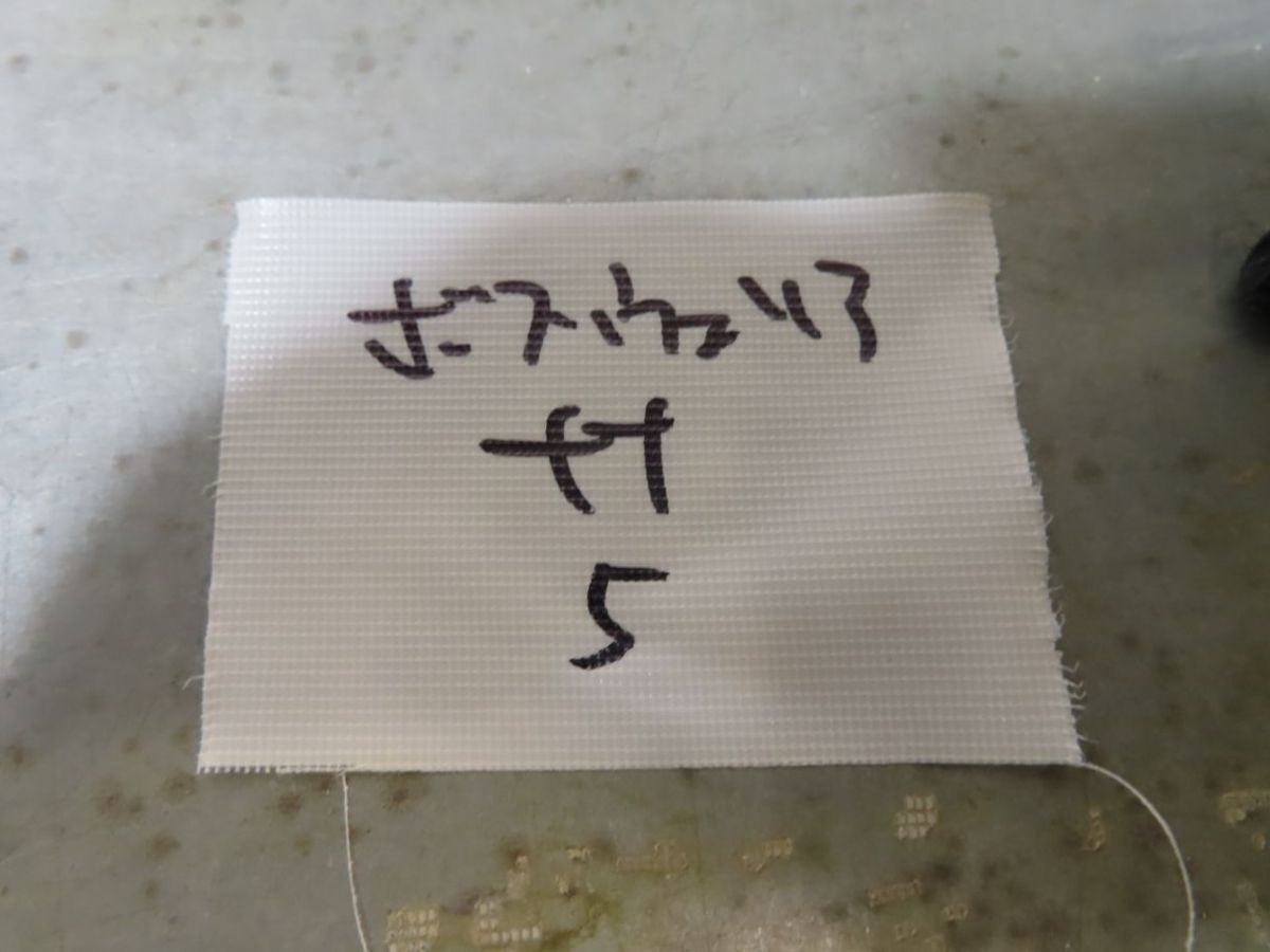 ★送無！新品！この空の花 -長岡花火物語 (DVDプレミアBOX版) サ2451 「現地」ボスウェリア ナナ 抜き苗【最新到着・Boswellia nana