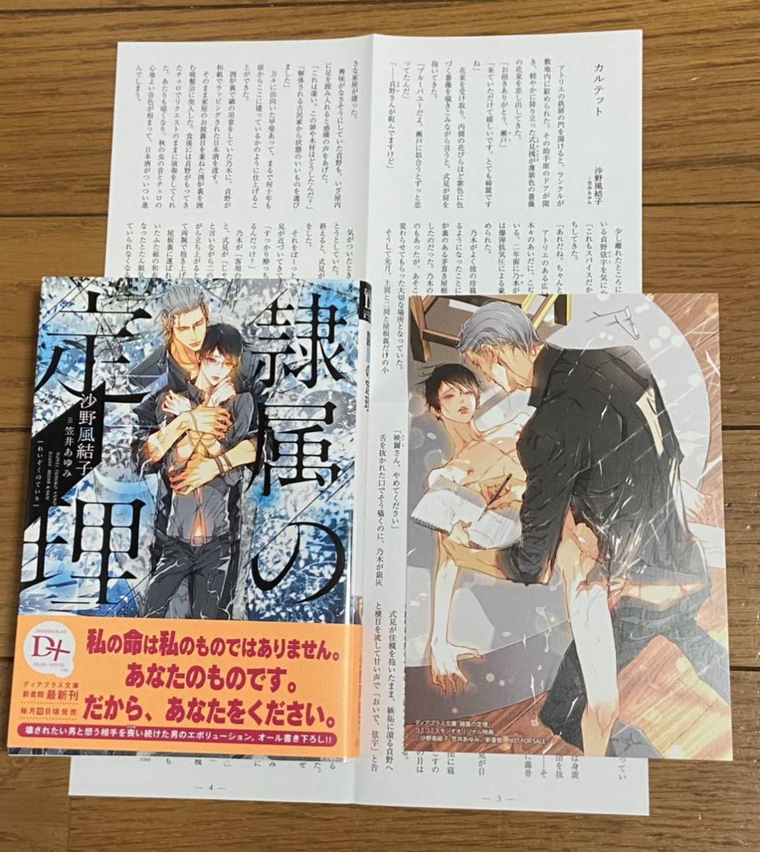 隷属の定理 沙野風結子 笠井あゆみ コミコミ特典イラストカード 出版社ペーパー付き ８月新刊 文庫 売買されたオークション情報 Yahooの商品情報をアーカイブ公開 オークファン Aucfan Com