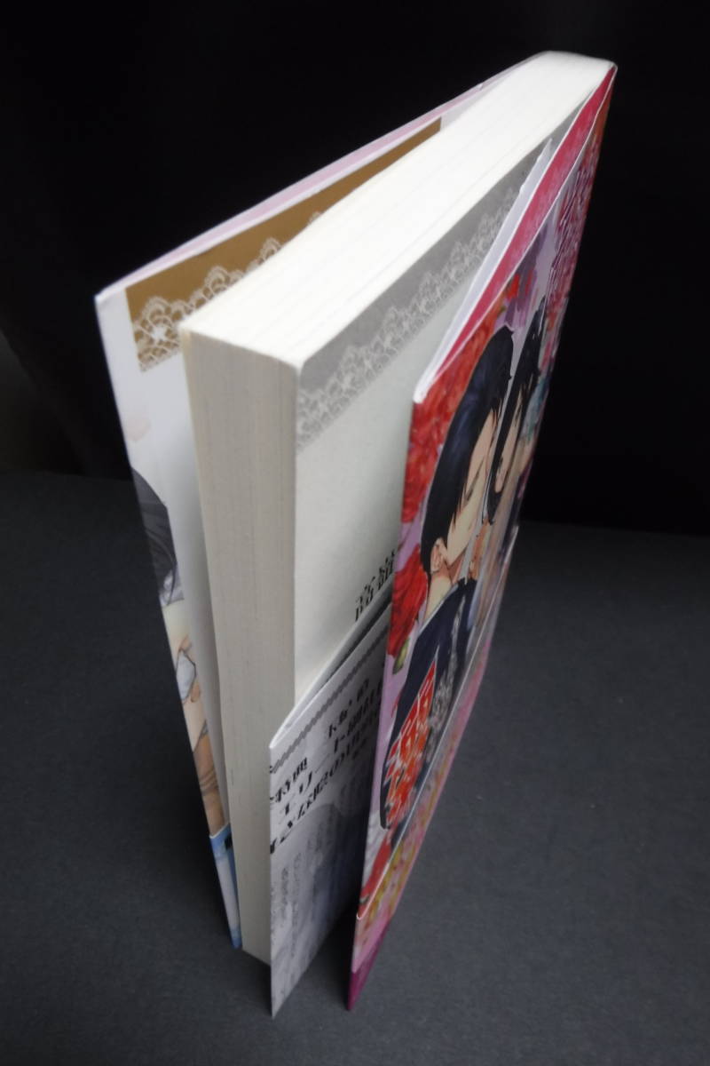 ガブリエラブックス 高嶺の花の勘違いフィアンセ エリート副社長は内気な令嬢を溺愛する 玉紀直 Ss付 恋愛小説一般 売買されたオークション情報 Yahooの商品情報をアーカイブ公開 オークファン Aucfan Com