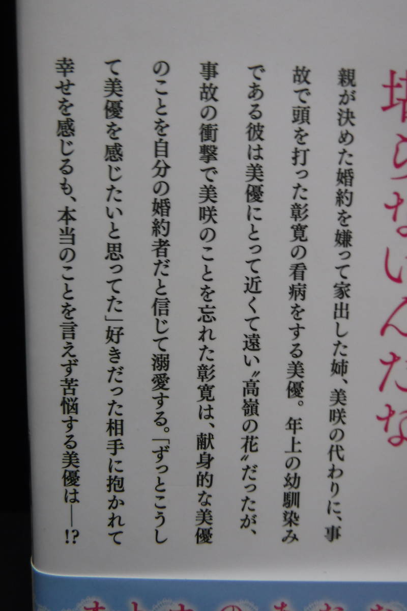 ガブリエラブックス 高嶺の花の勘違いフィアンセ エリート副社長は内気な令嬢を溺愛する 玉紀直 Ss付 恋愛小説一般 売買されたオークション情報 Yahooの商品情報をアーカイブ公開 オークファン Aucfan Com