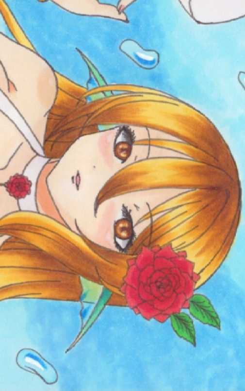 同人手描きイラスト 人魚 リクエスト 姉妹 ケント紙 薔薇 おっぱい ムチムチ オリジナル 海 水中 泡 アナログ 可愛い 綺麗 爽やか 手描き イラスト 売買されたオークション情報 Yahooの商品情報をアーカイブ公開 オークファン Aucfan Com