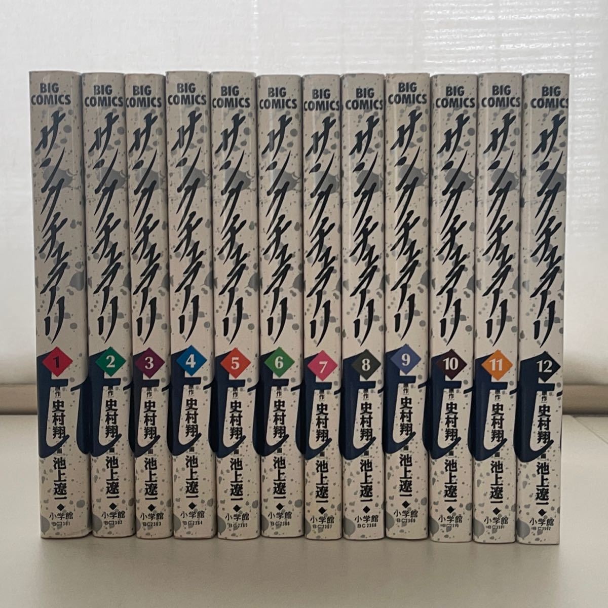 サンクチュアリ全巻セット 池上遼一 史村翔 全巻セット 売買されたオークション情報 Yahooの商品情報をアーカイブ公開 オークファン Aucfan Com