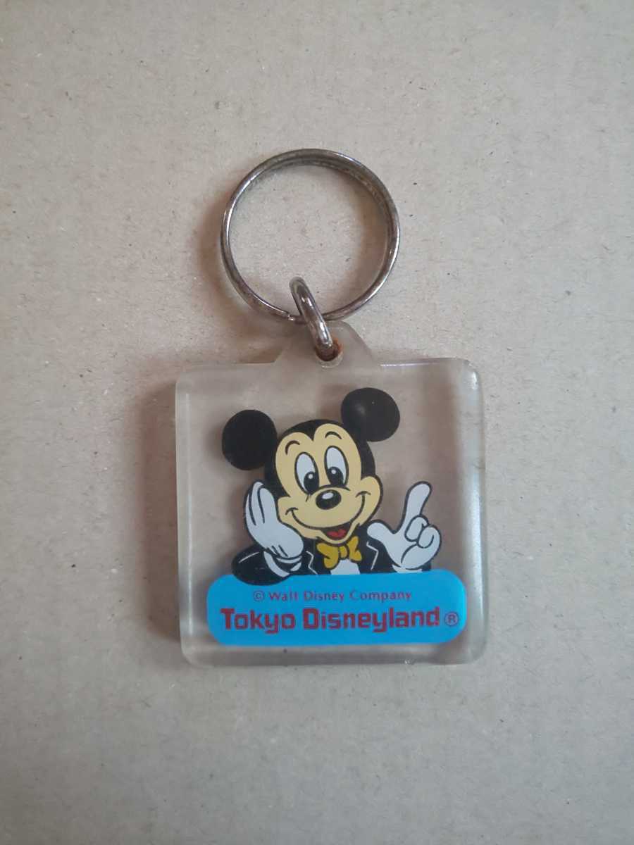 東京ディズニーランド キーホルダーの値段と価格推移は 508件の売買情報を集計した東京ディズニーランド キーホルダーの価格や価値の推移データを公開