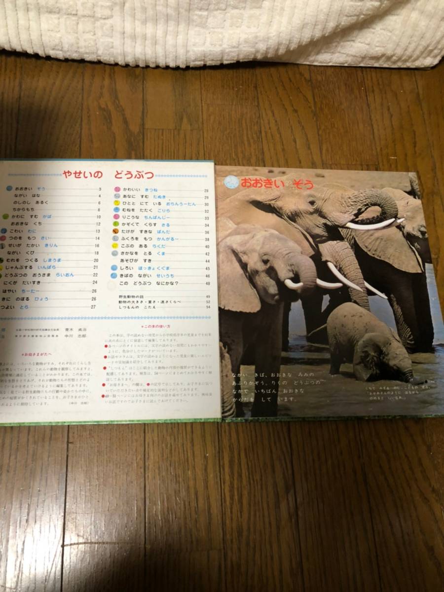 科学ブック 世界文化社 まとめ売 昭和レトロ 本 図鑑 学習絵本 科学本