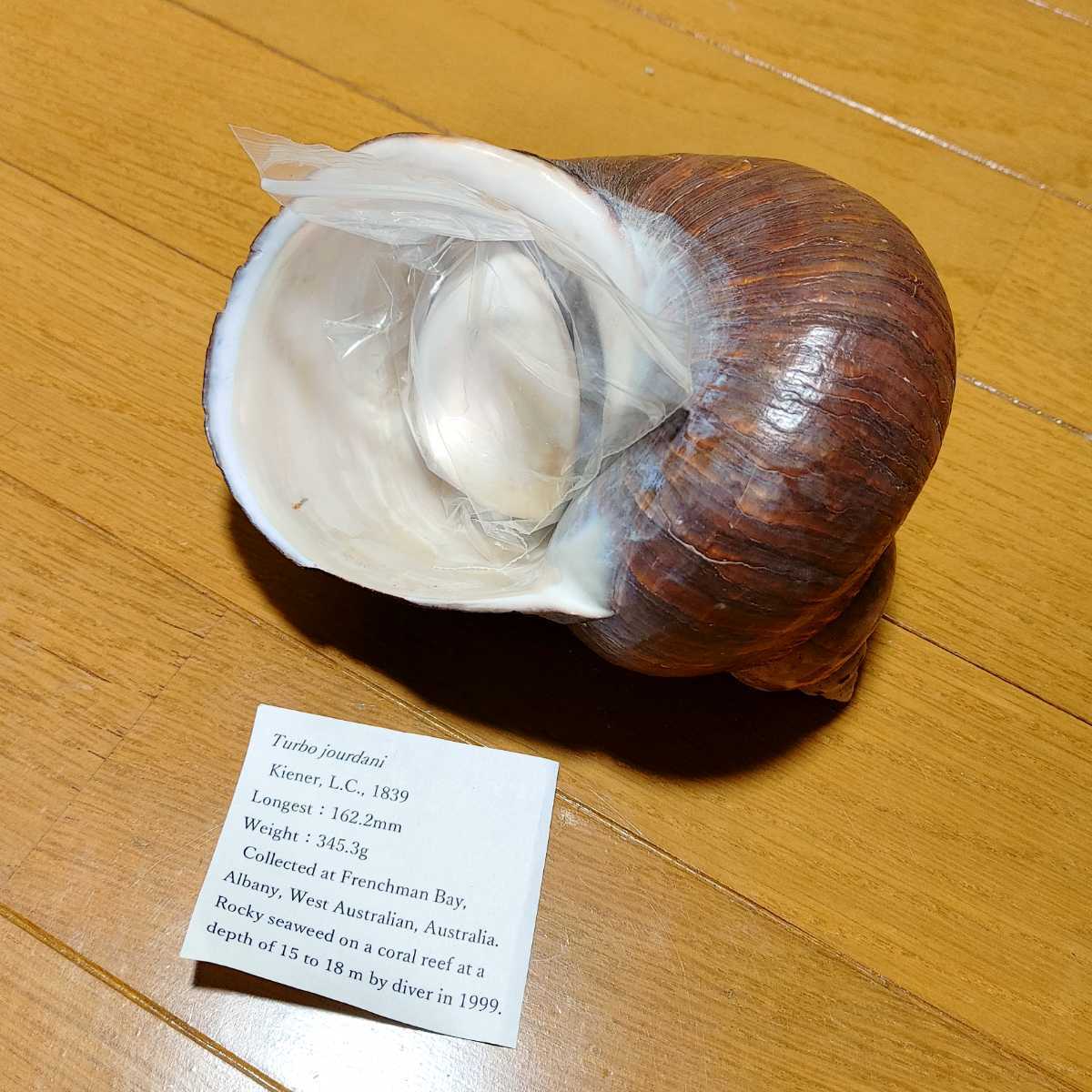 サザエ 貝の値段と価格推移は 101件の売買情報を集計したサザエ 貝の価格や価値の推移データを公開