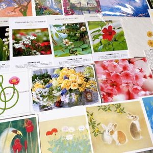 アサガオの値段と価格推移は 3 290件の売買情報を集計したアサガオの価格や価値の推移データを公開