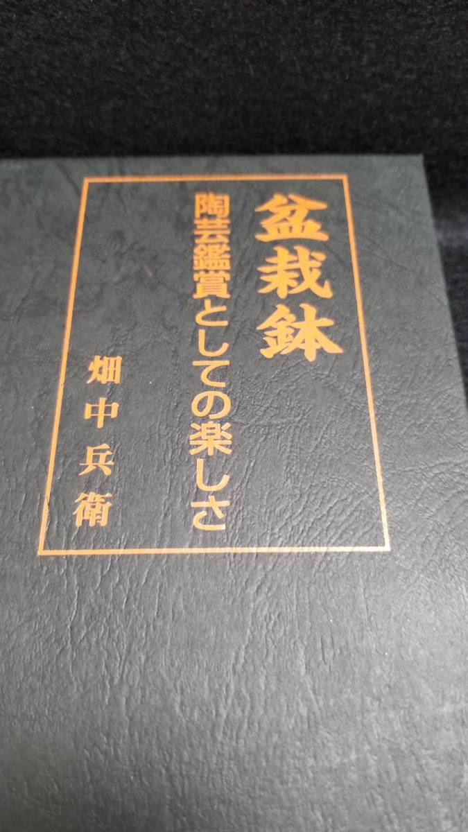 本 盆栽鉢 陶芸鑑賞としての楽しさ