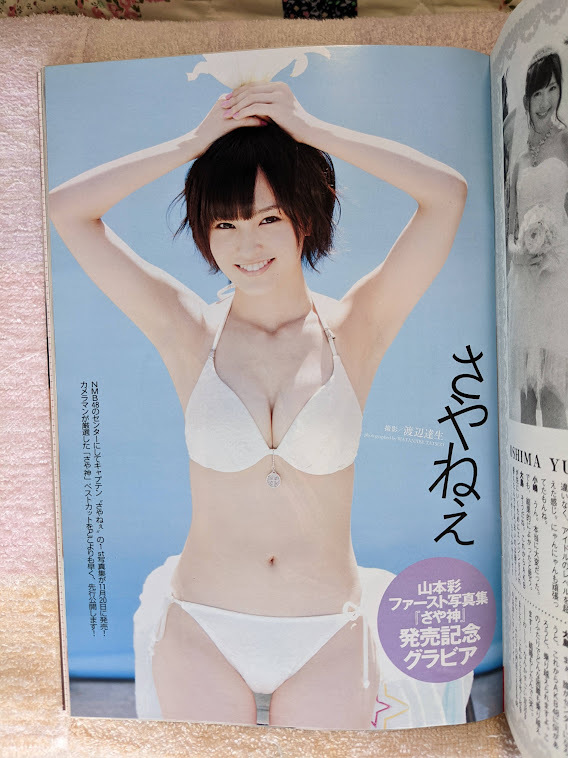 プレイボーイ 2012 まるごと1冊AKB48増刊号 AKB48 SKE48 NMB48 HKT48