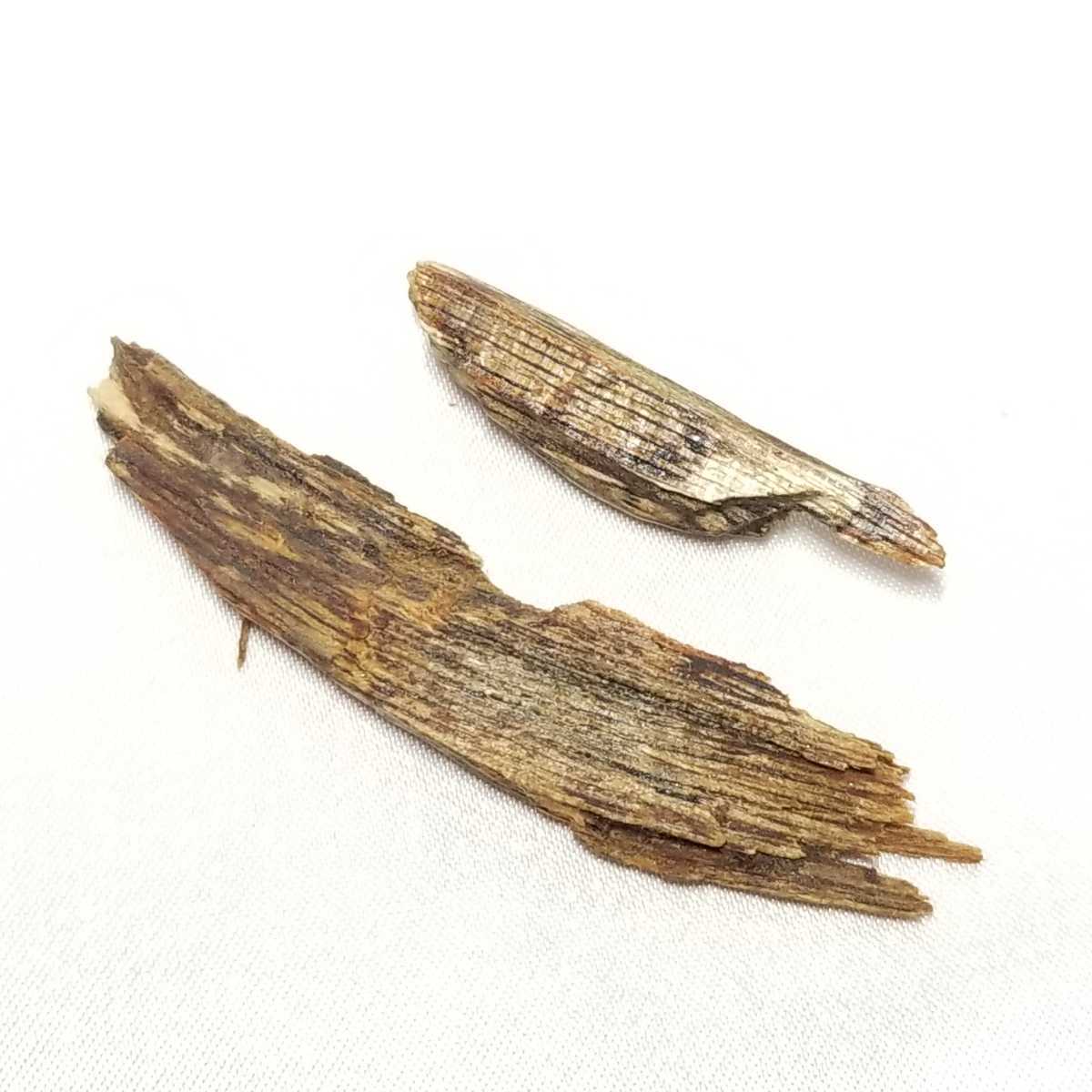 伽羅 香木 お香 香木⁄木所不明⁄1.6g⁄松栄堂⁄