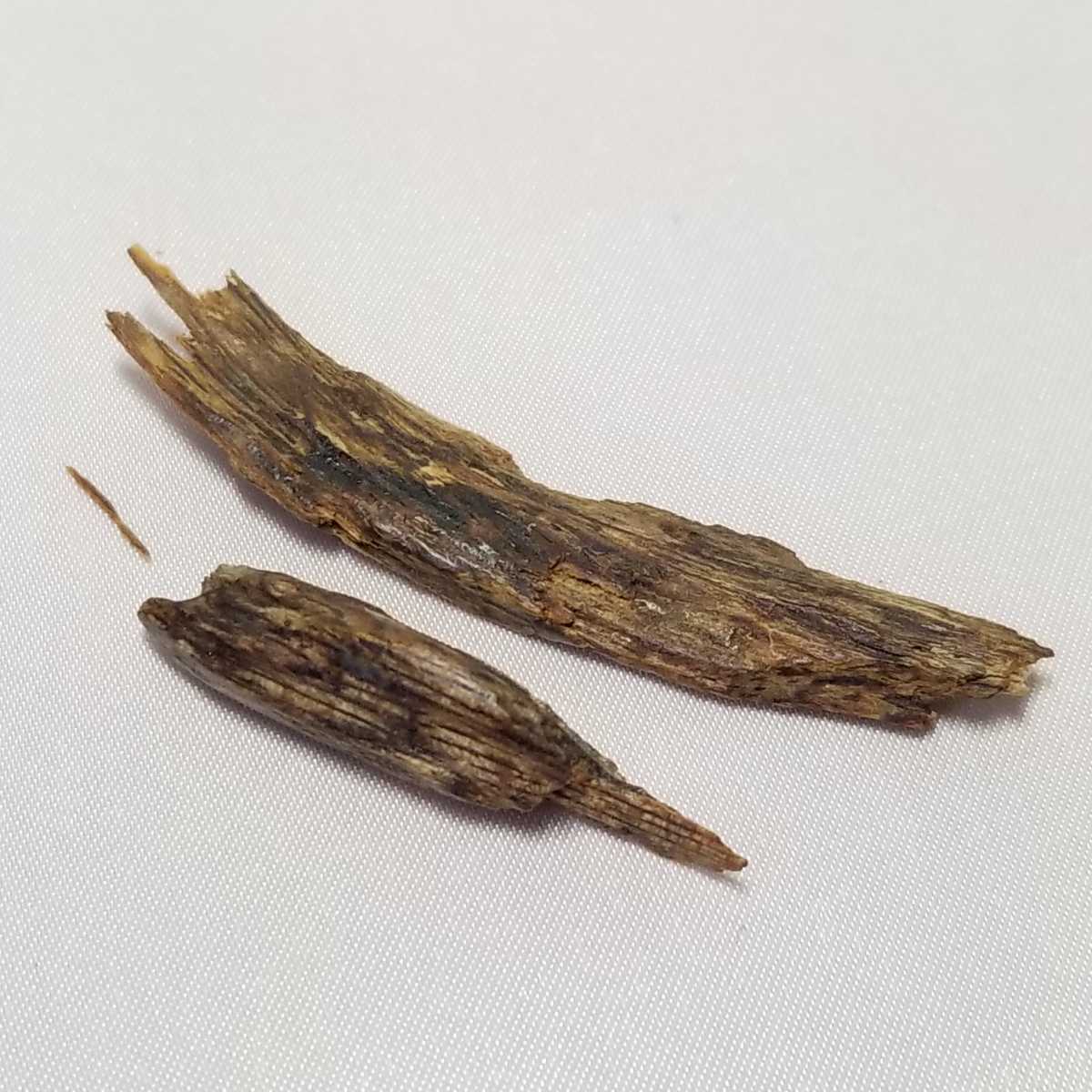 伽羅 香木 お香 香木⁄木所不明⁄1.6g⁄松栄堂⁄