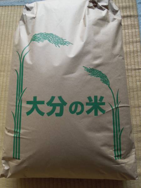 ☆ 新米 令和4年度 大分県 なつほのか 玄米30kg 減農薬（田植後の