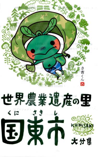 ☆ 新米 令和4年度 大分県 なつほのか 玄米30kg 減農薬（田植後の