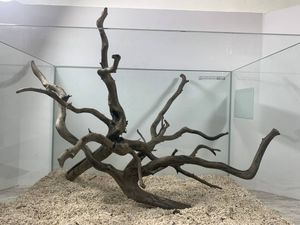 ネシア流木の値段と価格推移は 26件の売買情報を集計したネシア流木の価格や価値の推移データを公開