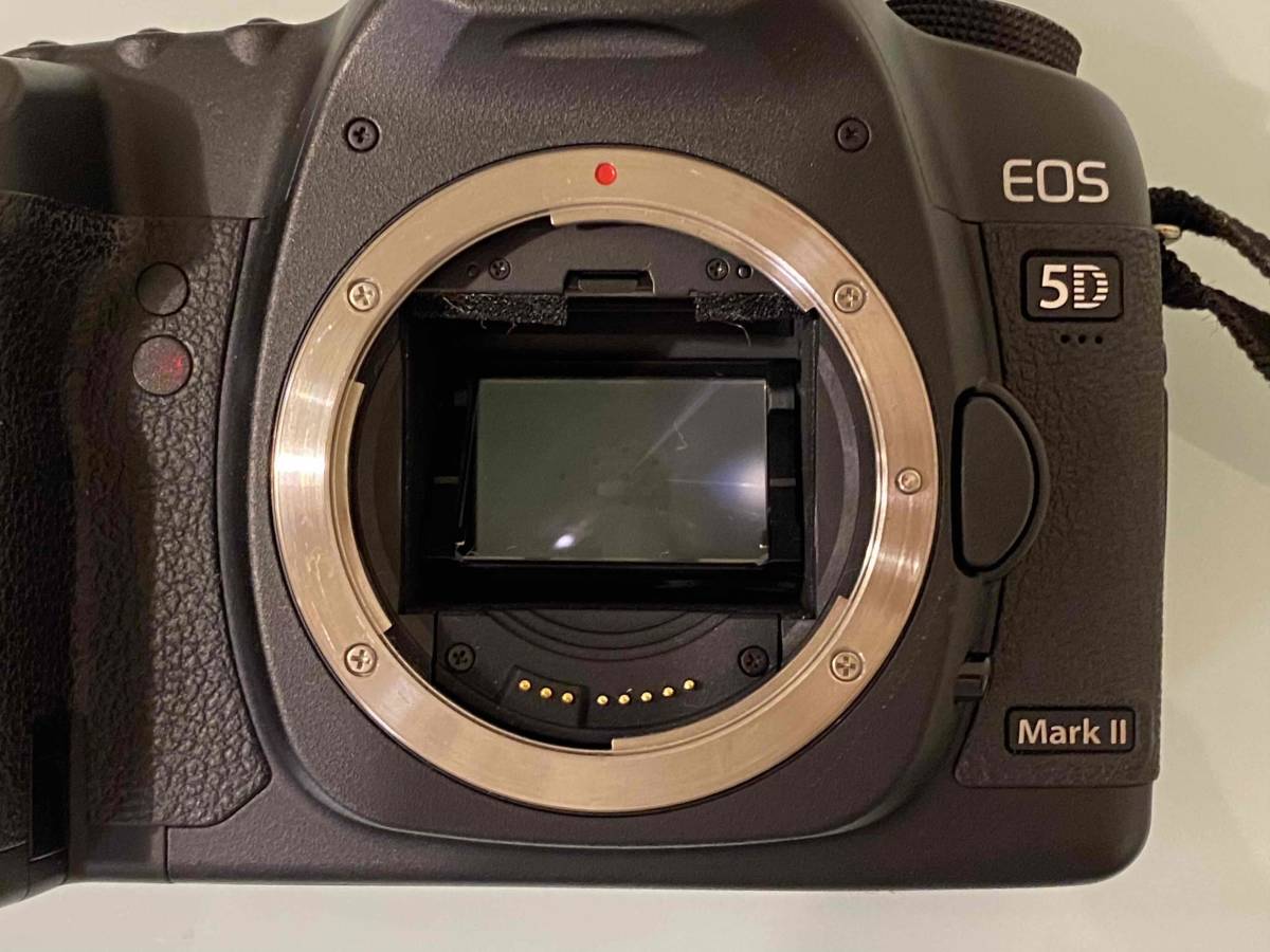 ★Canon EOS 5D Mark II★ Canon Mark 5D w&frasl;battery Excellent+++++ Popular