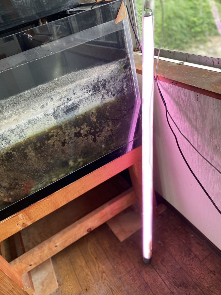 アクリル水槽 1800600600 上部濾過引き取り限定 (180cm～)｜売買された  