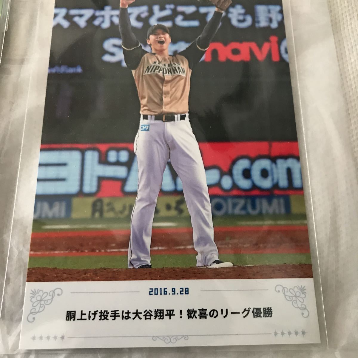 北海道日本ハムファイターズ フォトポストカード 札幌ドームラスト 