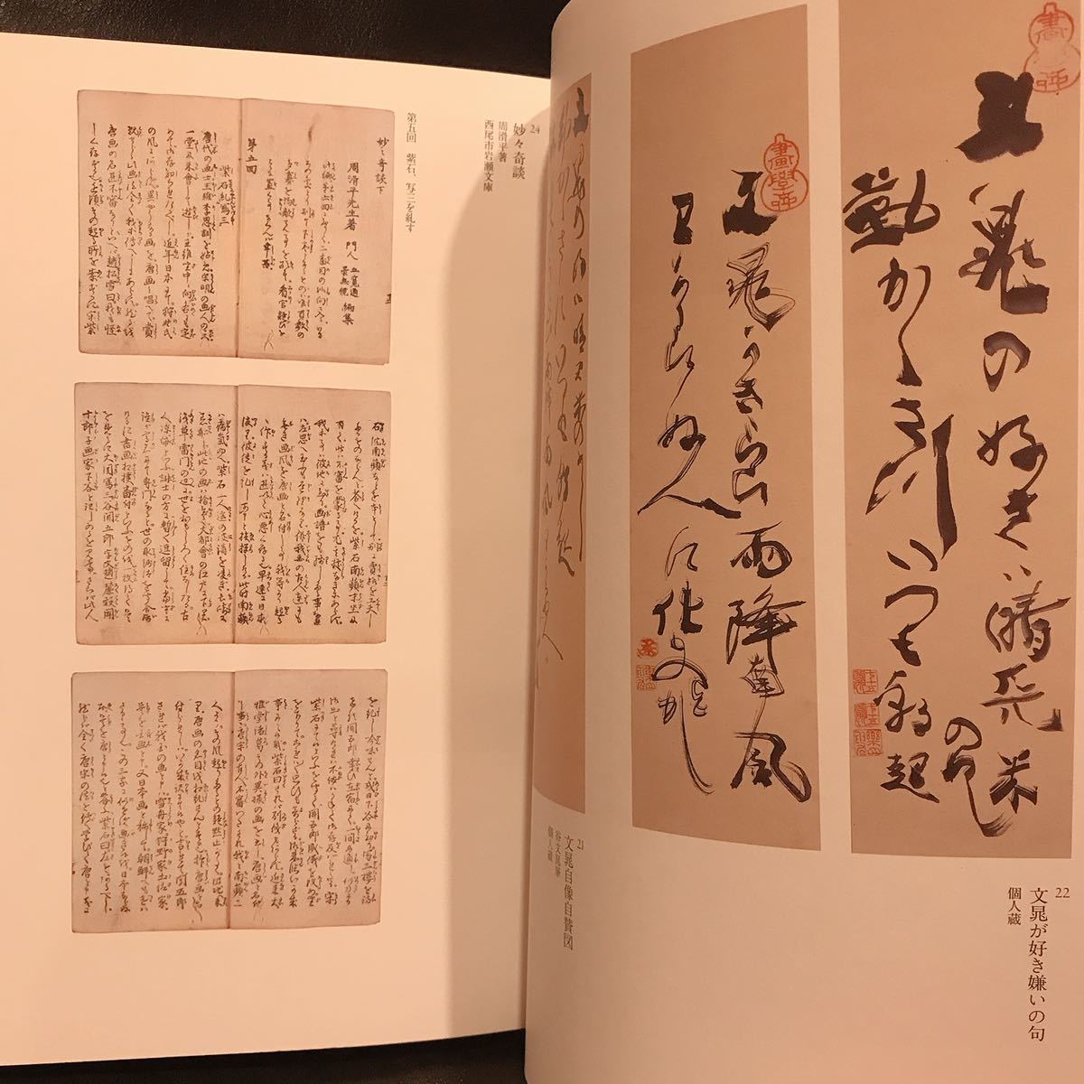 谷文晁 生誕250周年 サントリー美術館◇図録 江戸後期 生誕250周年 