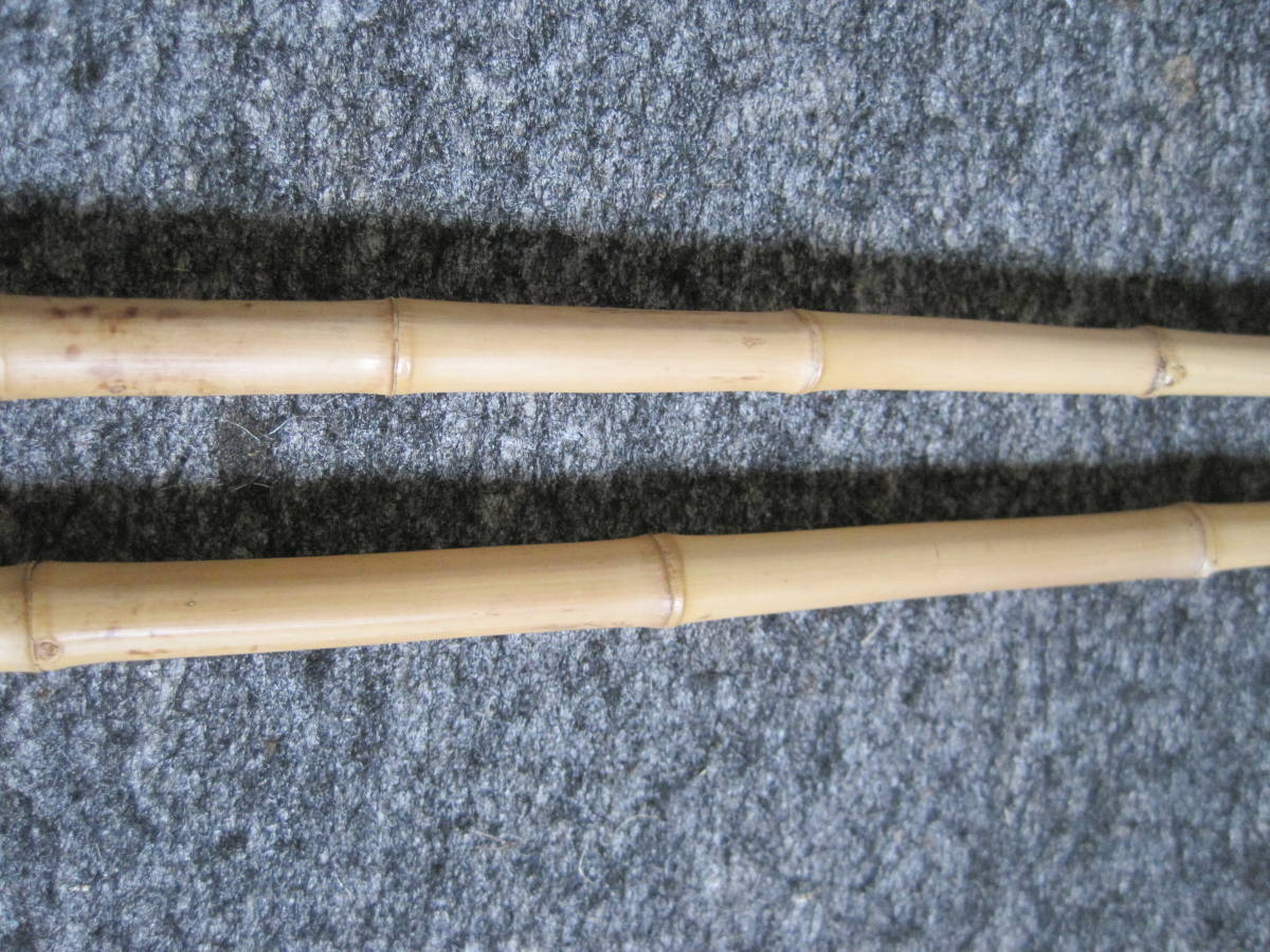 淡竹 根 L 2本 布袋竹ではありません 釣具素材 長さ約44～48cm