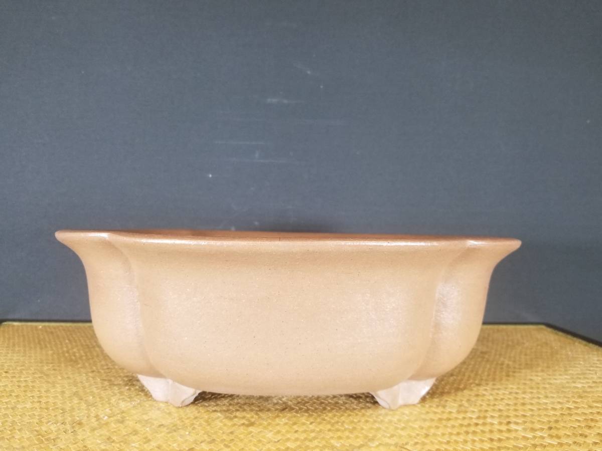 陶雀 染付山水図 外縁六角盆栽鉢 美品 約11.3cm 楽天