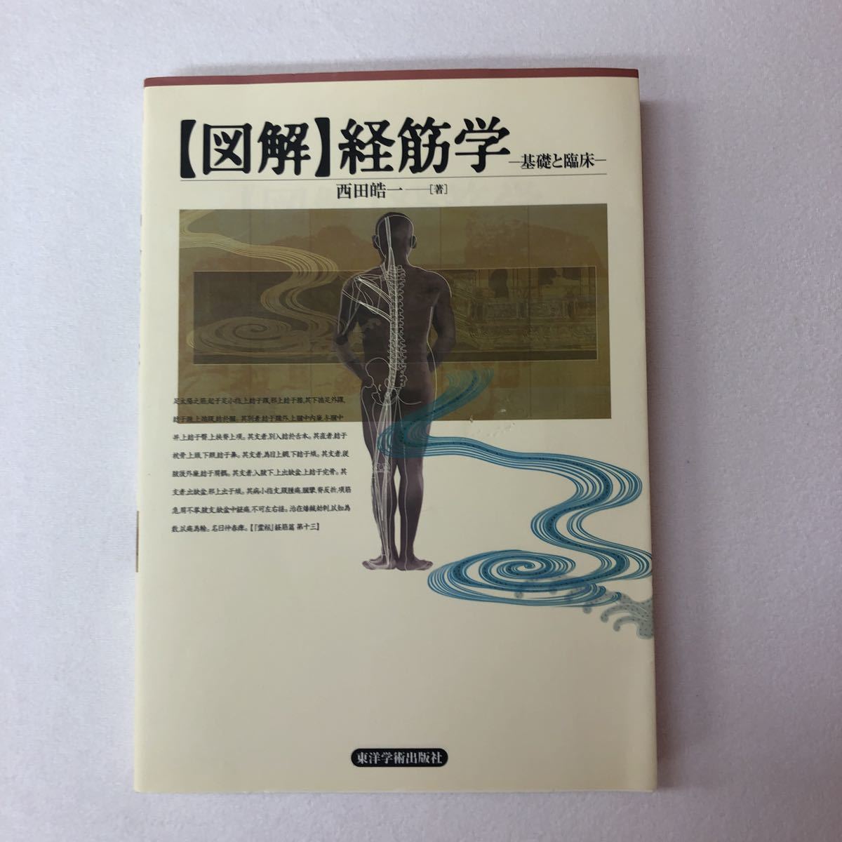美本】図解 経筋学 基礎と臨床 西田皓一 東洋学術出版社 中医学 鍼灸
