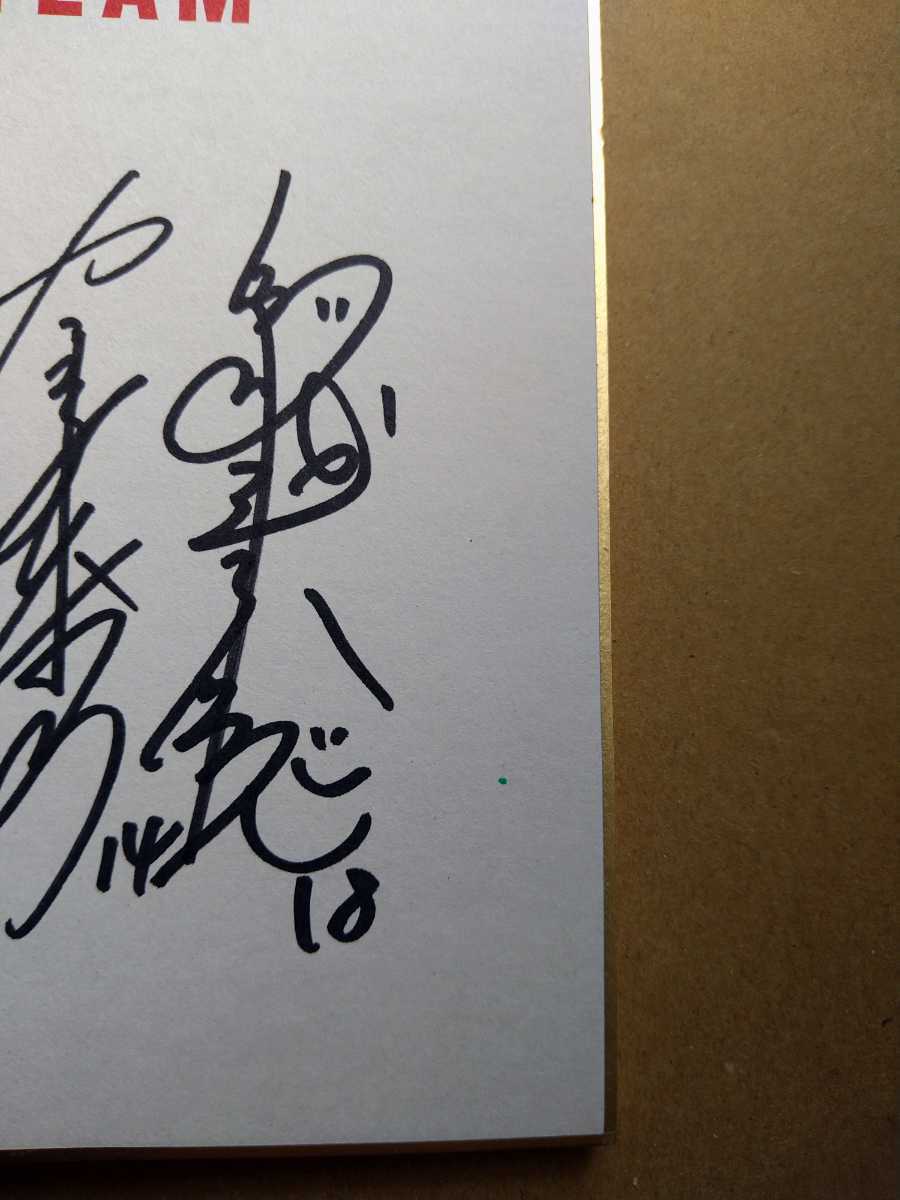 Vリーグ女子NECレッドロケッツ 全選手直筆サイン色紙 2011年頃 杉山 