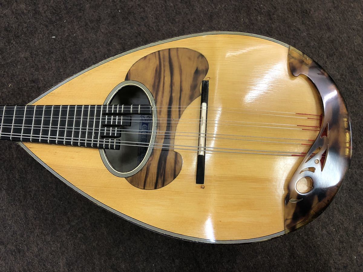 Mandolin クラシコB イケガク Special Classico B 5日と10日は 