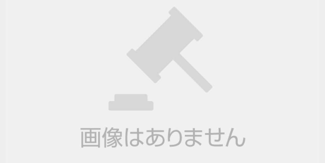 正規品　廃盤　花沢おとは　☆1