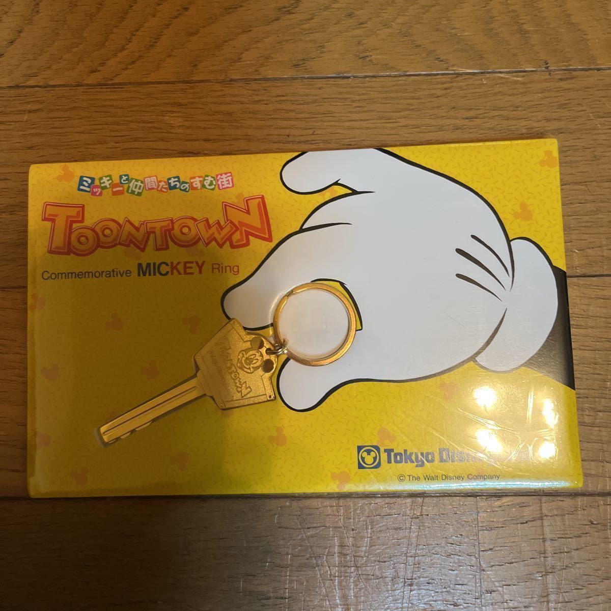 東京ディズニーランド トゥーンタウン オープン記念パスポート 使用