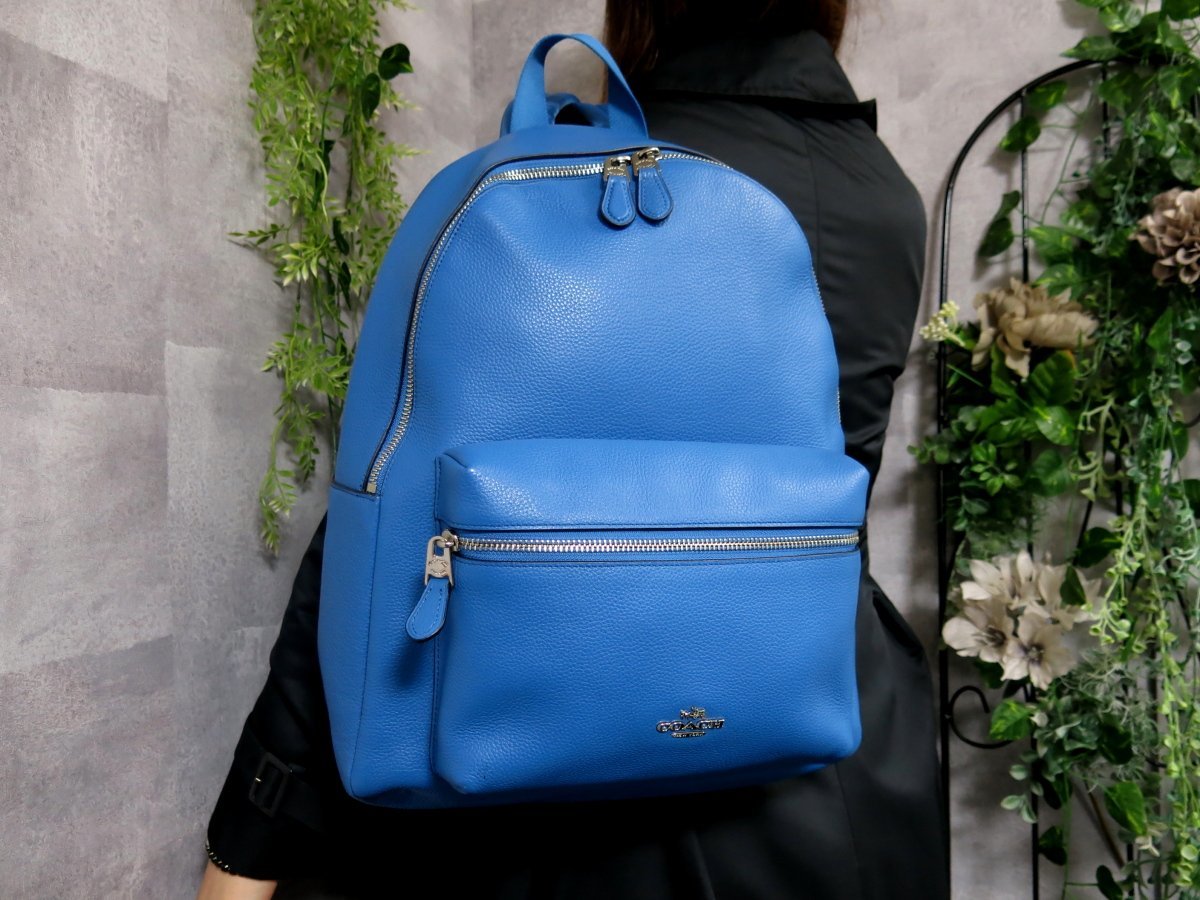 高品質，本物保証 COACH コーチ F38288 チャーリー バックパック カーフ レザー 本革 リュック サック 青 SV金具 A4 書類 収納 Js30654(その他)｜売買されたオークション情報、yahooの商品情報をアーカイブ公開 - オー かばん、バッグ