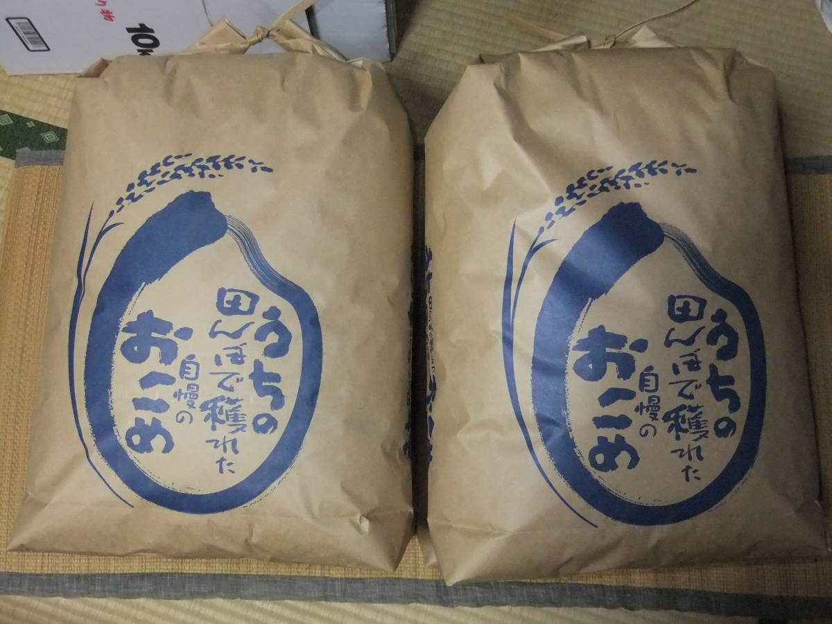 20kg – 令和7年産 新潟直送計画令和7年度米 コシヒカリ 新潟県産 米 お