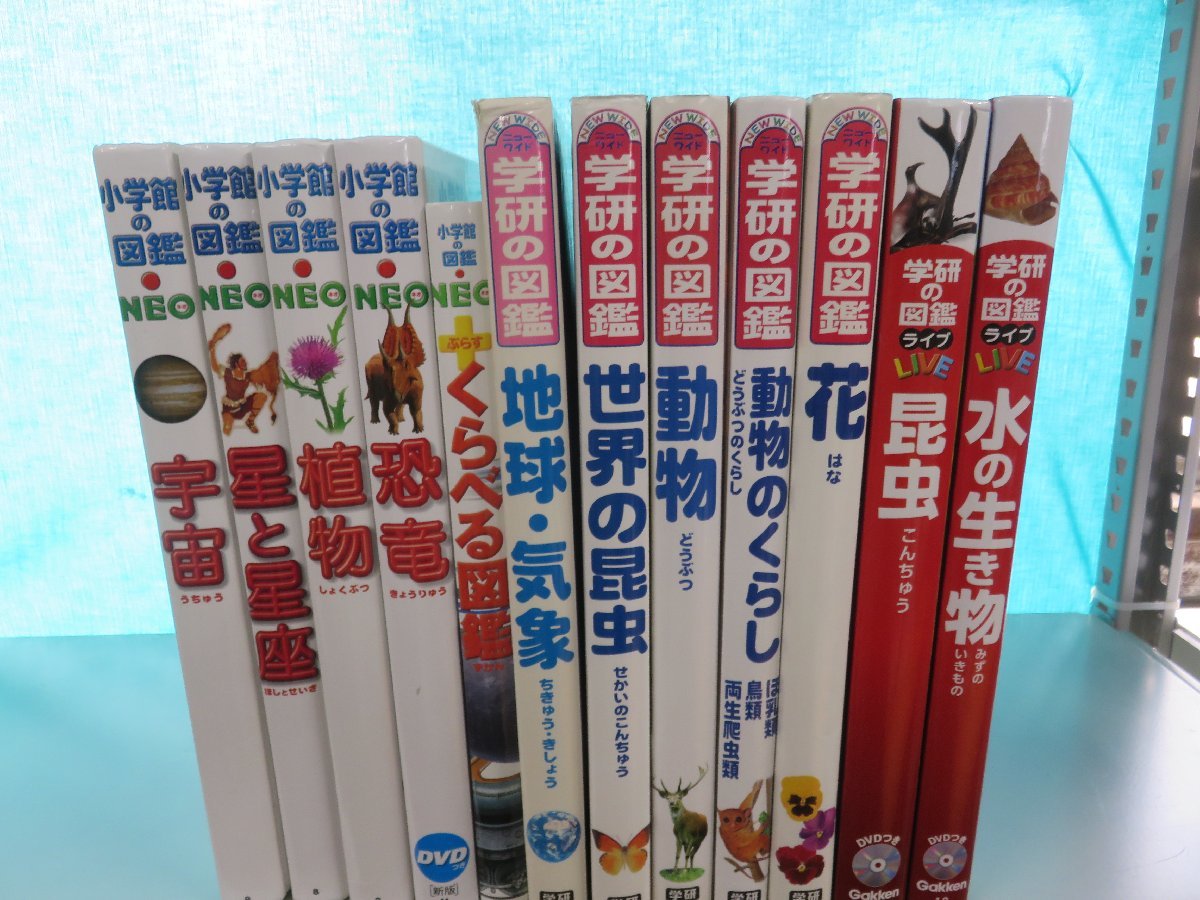 図鑑】《まとめて12点セット》小学館の図鑑NEO/学研の図鑑/LIVE/動物の 