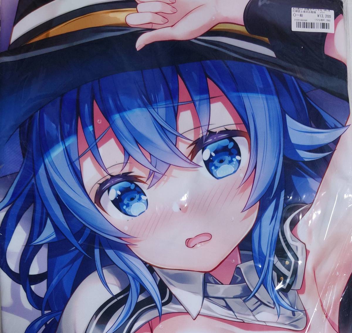 無職転生』ESSENTIA ロキシー・ミグルディア 抱き枕カバー 藤真拓哉