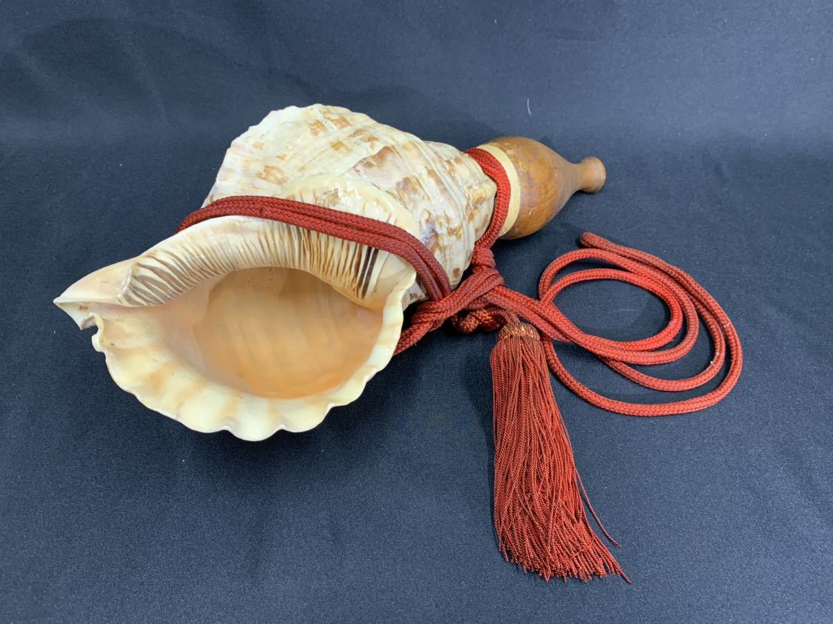 法螺貝 ほら貝 長さ 約38cm 重さ約1066g 修験道 山伏 密教法具