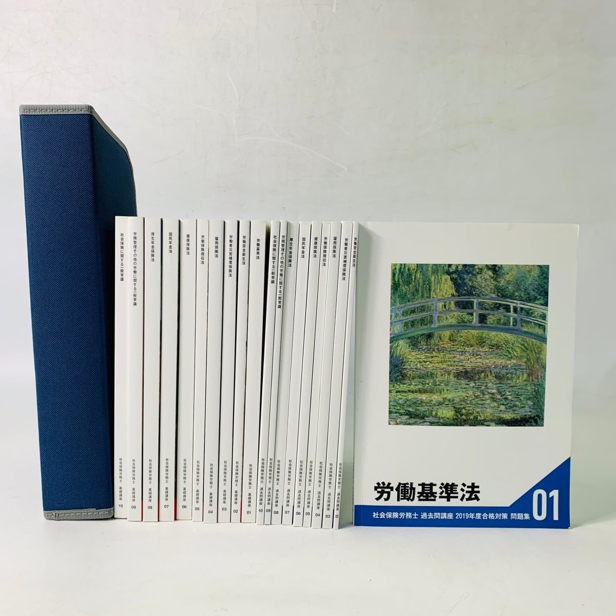 中古 Foresight フォーサイト 社会保険労務士 2019年度合格対策