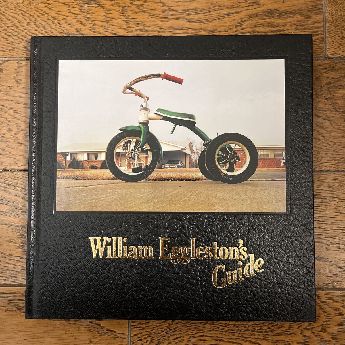 William | ウィリアム・エグルストン THE Los Guide Eggleston's 貴重