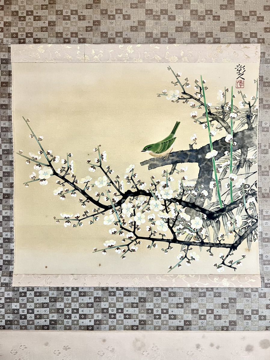 真作 川崎彰久 梅小禽 絹本 真筆肉筆 二重箱 共箱 金泥 春景 花鳥図 鶯