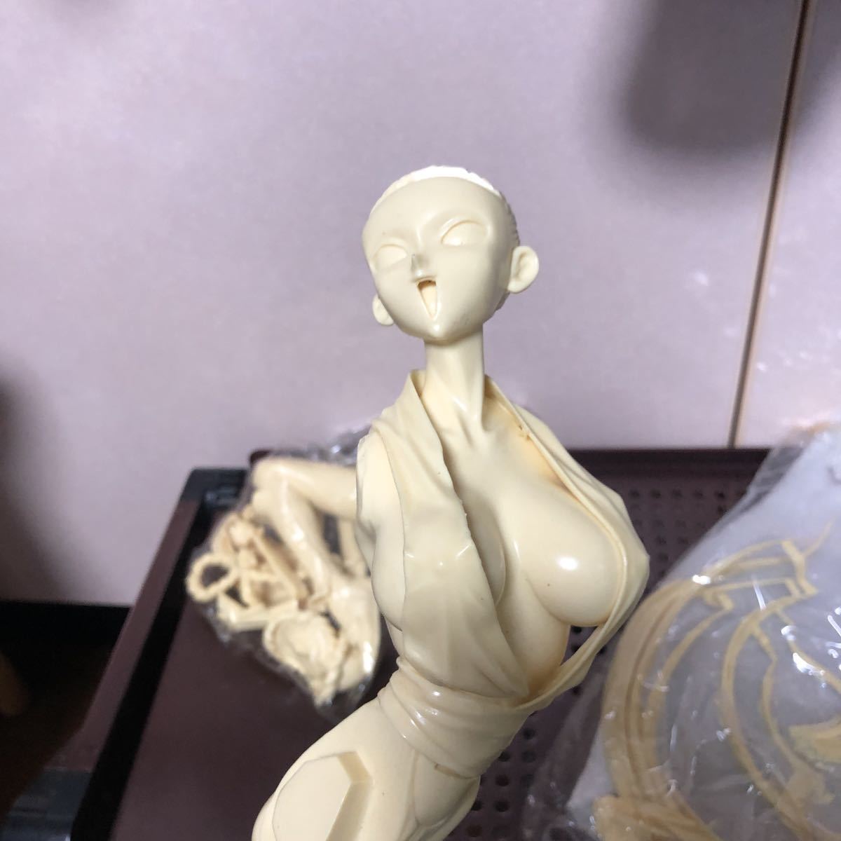 12000 未組立 ワンフェス 餓狼伝説 劇場版 不知火舞Ⅰ ガレージキット