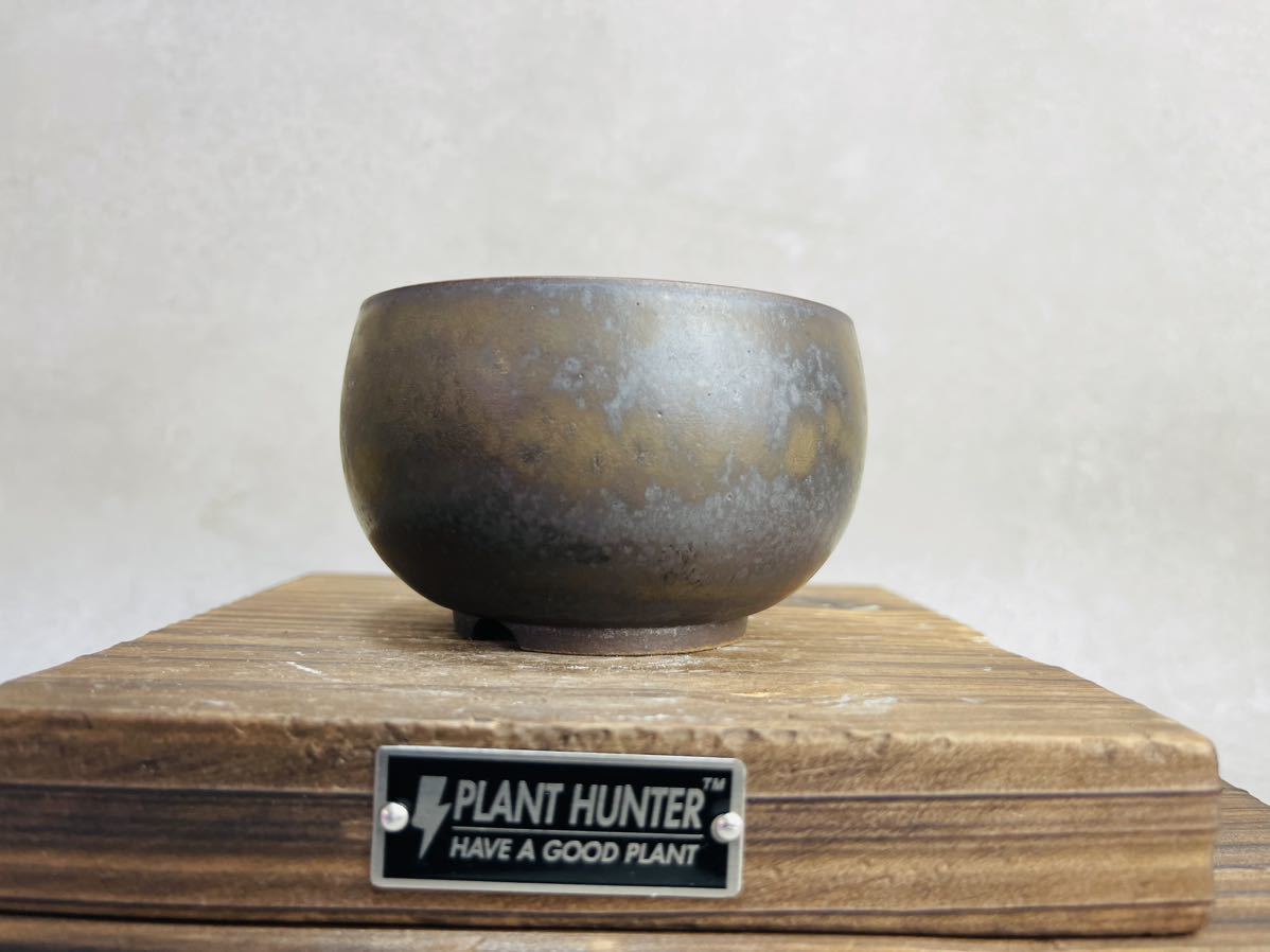 手作り 植木鉢 検索（塊根植物パキポディウム グラキリス アガベ ） 手