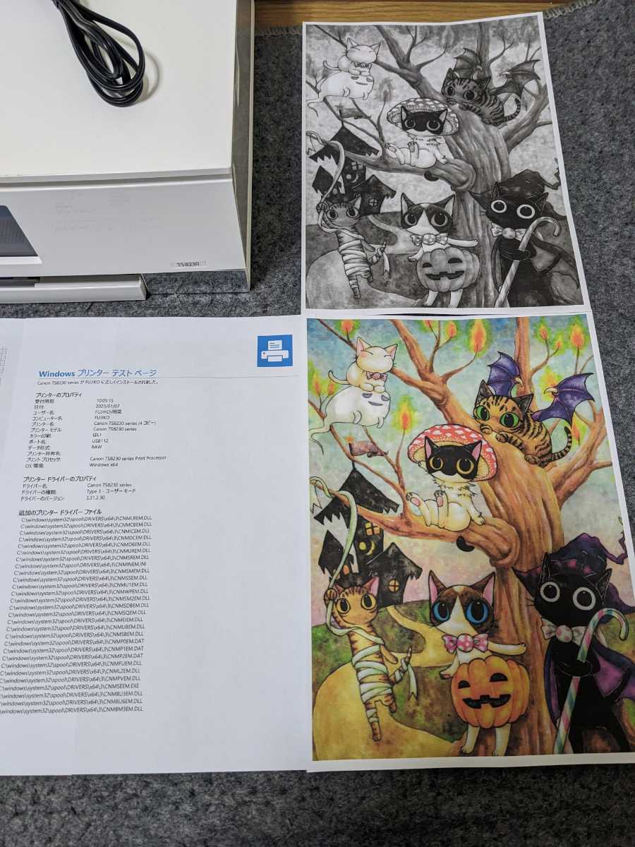 Canon PIXUS 複合機 TS8230 ① 総印刷枚数 853枚 Canon TS8230 PIXUS 231枚