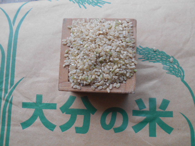 ☆ 新米 令和4年度 大分県 なつほのか 玄米30kg 減農薬（田植後の