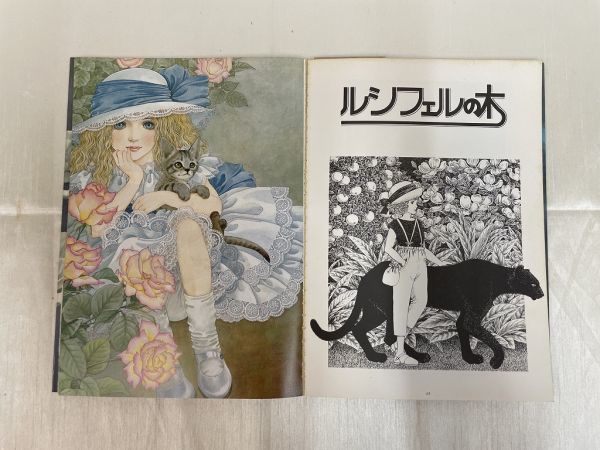 白雪姫幻想 1979年 昭和54年 - 内田善美 内田善美♢白雪姫幻想 帯付き