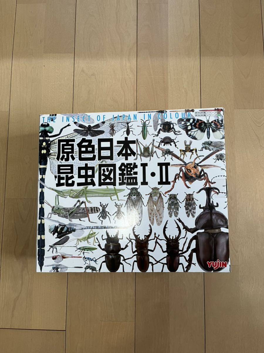 原色日本昆虫図鑑Ⅰ・Ⅱ 改訂増補版　コレクションボックス　廃盤
