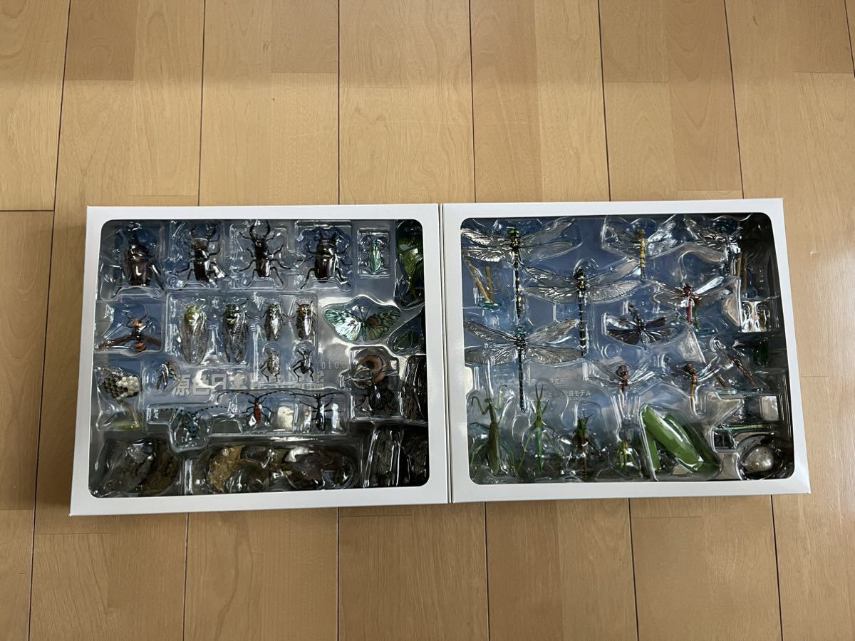 原色日本昆虫図鑑Ⅰ・Ⅱ 改訂増補版　コレクションボックス　廃盤