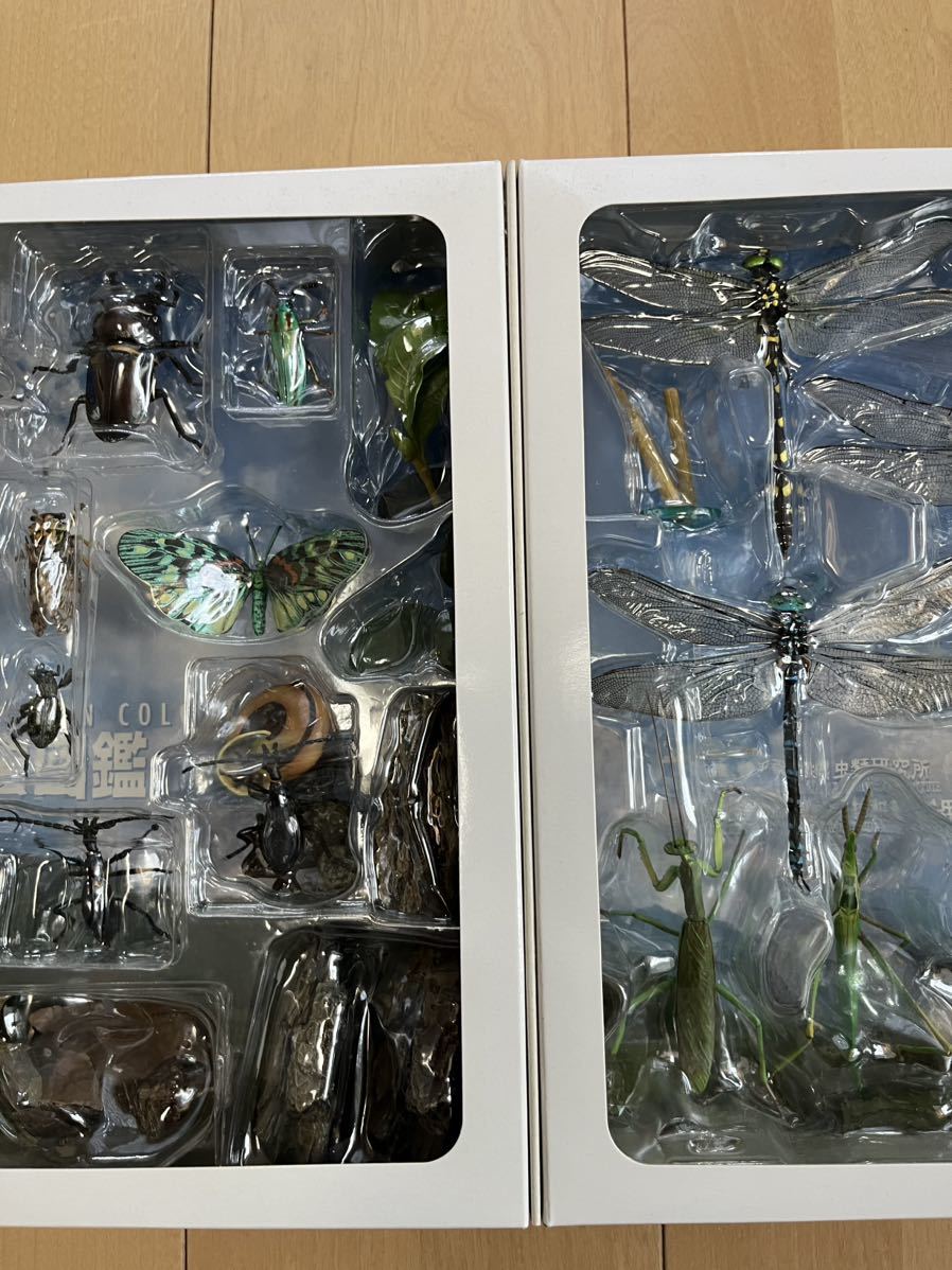 原色日本昆虫図鑑Ⅰ・Ⅱ 改訂増補版　コレクションボックス　廃盤