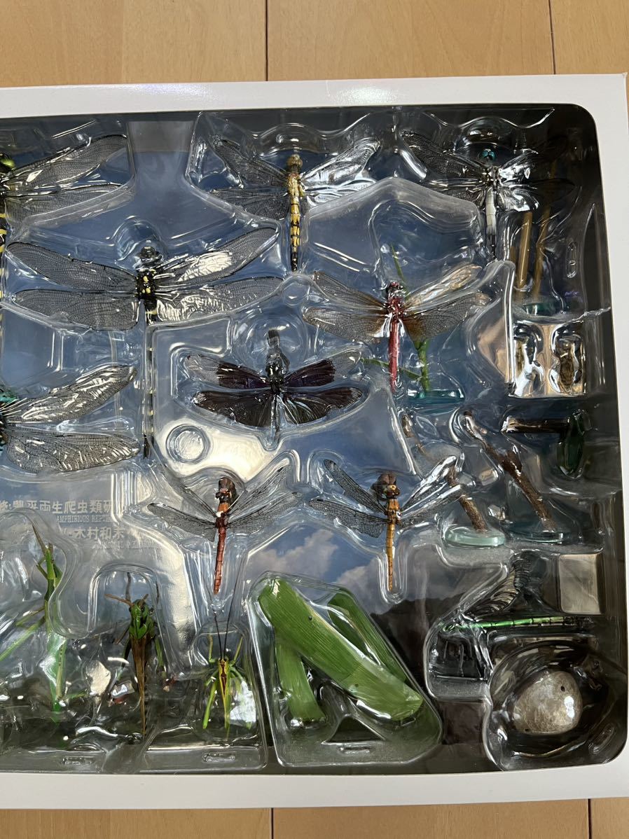 原色日本昆虫図鑑Ⅰ・Ⅱ 改訂増補版　コレクションボックス　廃盤