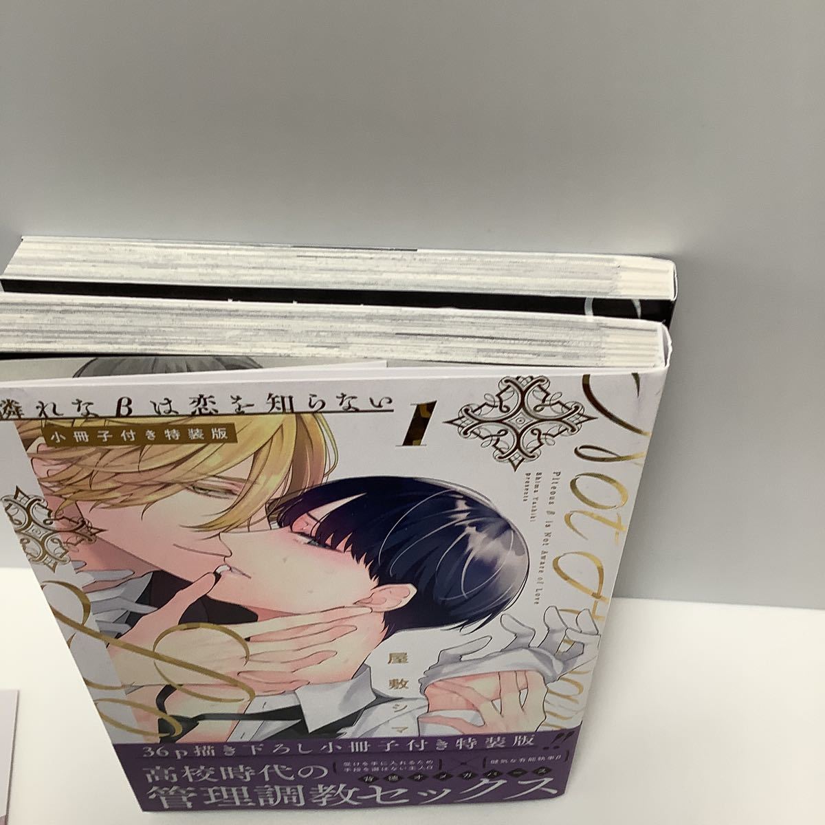 憐れなβは恋を知らない 特典 憐れな は恋を知らない